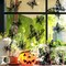12Pcs - Halloween Wall Decor 3D Stereo Skull Butterfly Wall Decals